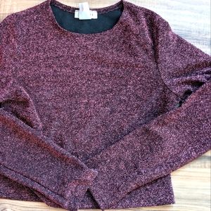 Hot Pink Glitter Crop Top and Shorts